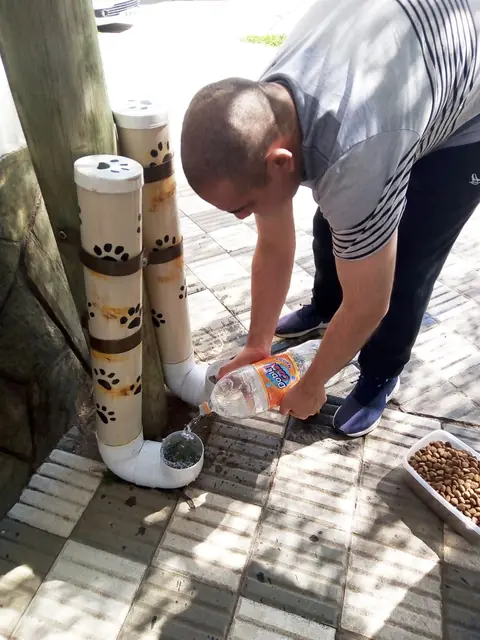 Proyecto de comedero para perros